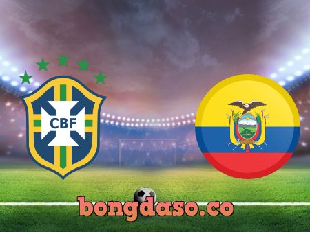 Soi kèo nhà cái Brazil vs Ecuador – 07h30 – 05/06/2021