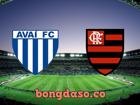 Soi kèo nhà cái Avai vs Flamengo RJ – 21h00 – 24/07/2022