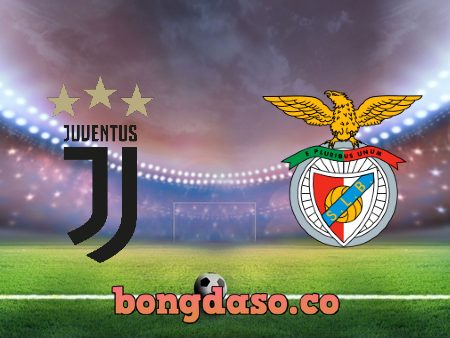 Soi kèo nhà cái V9bet trận Juventus vs Benfica – 02h00 – 15/09/2022