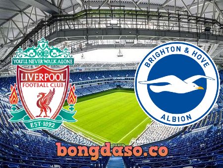 Soi kèo nhà cái Liverpool vs Brighton – 21h00 – 01/10/2022