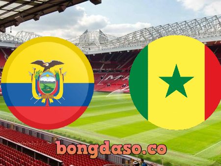 Soi kèo nhà cái Ecuador vs Senegal – 22h00 – 29/11/2022