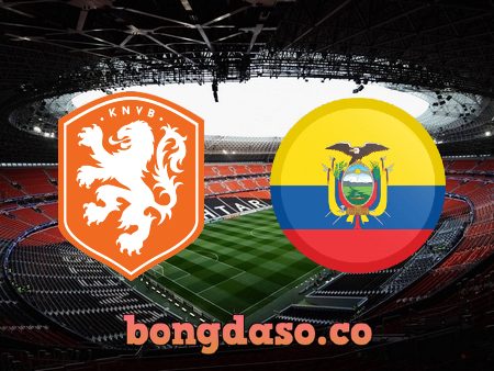 Soi kèo nhà cái Hà Lan vs Ecuador – 23h00 – 25/11/2022